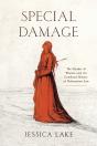 Special Damage - Preview