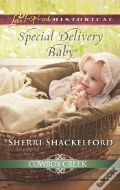Capa do artigo Special Delivery Baby