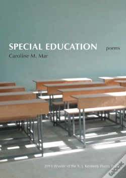 Capa do artigo Special Education