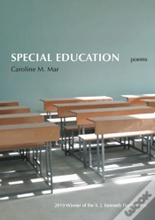 Capa do artigo Special Education