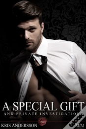 Capa do artigo Special Gift And Private Investigations