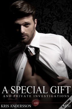 Capa do artigo Special Gift And Private Investigations