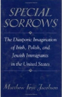 Special Sorrows - Preview