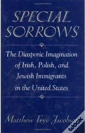 Capa do artigo Special Sorrows