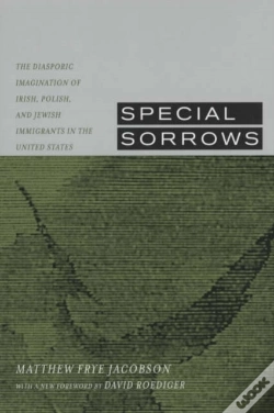 Capa do artigo Special Sorrows