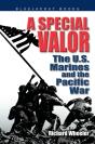 Special Valor - Preview