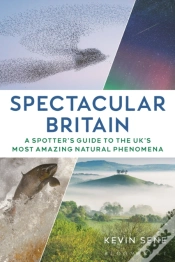 Capa do artigo Spectacular Britain