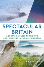 Capa do artigo Spectacular Britain