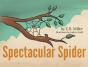 Spectacular Spider - Preview