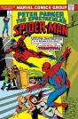 Spectacular Spider-Man Omnibus Vol. 1 - Preview