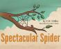 Spectacular Spider - Preview