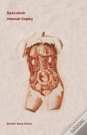 Capa do artigo Speculum