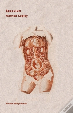 Capa do artigo Speculum