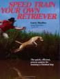 Speed Train Your Own Retriever - Preview