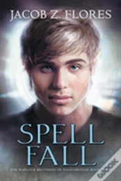 Capa do artigo Spell Fall
