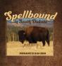 Spellbound In South Dakota - Preview