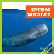 Capa do artigo Sperm Whales