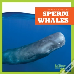 Capa do artigo Sperm Whales