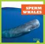 Sperm Whales - Preview