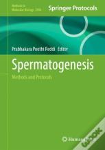 Spermatogenesis