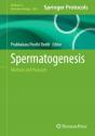 Spermatogenesis - Preview