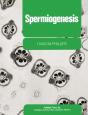 Spermiogenesis - Preview