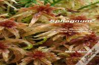 Sphagnum