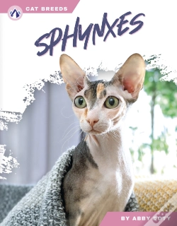 Capa do artigo Sphynxes