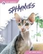 Sphynxes - Preview