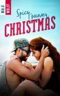 Spicy Sunny Christmas - Preview