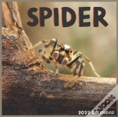Spider 2022 Calendar