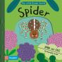 Spider - Preview