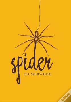 Capa do artigo Spider