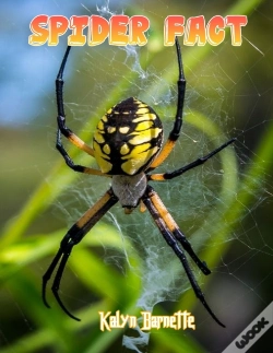 Capa do artigo Spider Fact