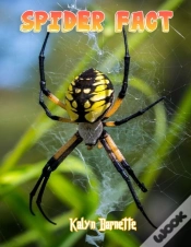 Capa do artigo Spider Fact