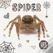 Capa do artigo Spider