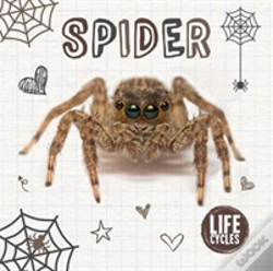 Capa do artigo Spider