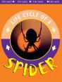 Spider - Preview