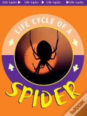Capa do artigo Spider