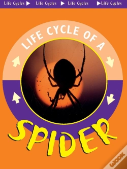 Capa do artigo Spider