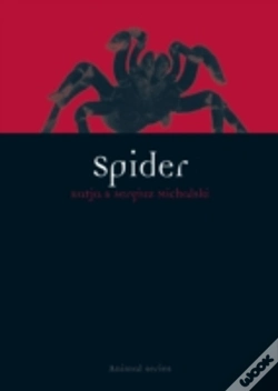 Capa do artigo Spider