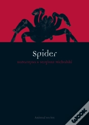 Capa do artigo Spider