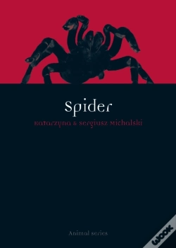Capa do artigo Spider