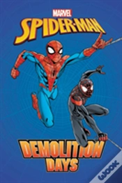 Capa do artigo Spider-Man: Demolition Days