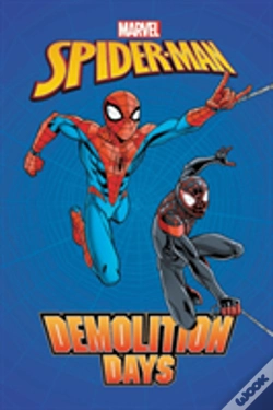 Capa do artigo Spider-Man: Demolition Days