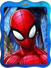 Spider-Man: