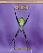 Spider - Preview