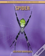 Capa do artigo Spider
