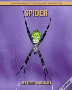 Capa do artigo Spider