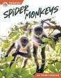 Spider Monkeys - Preview